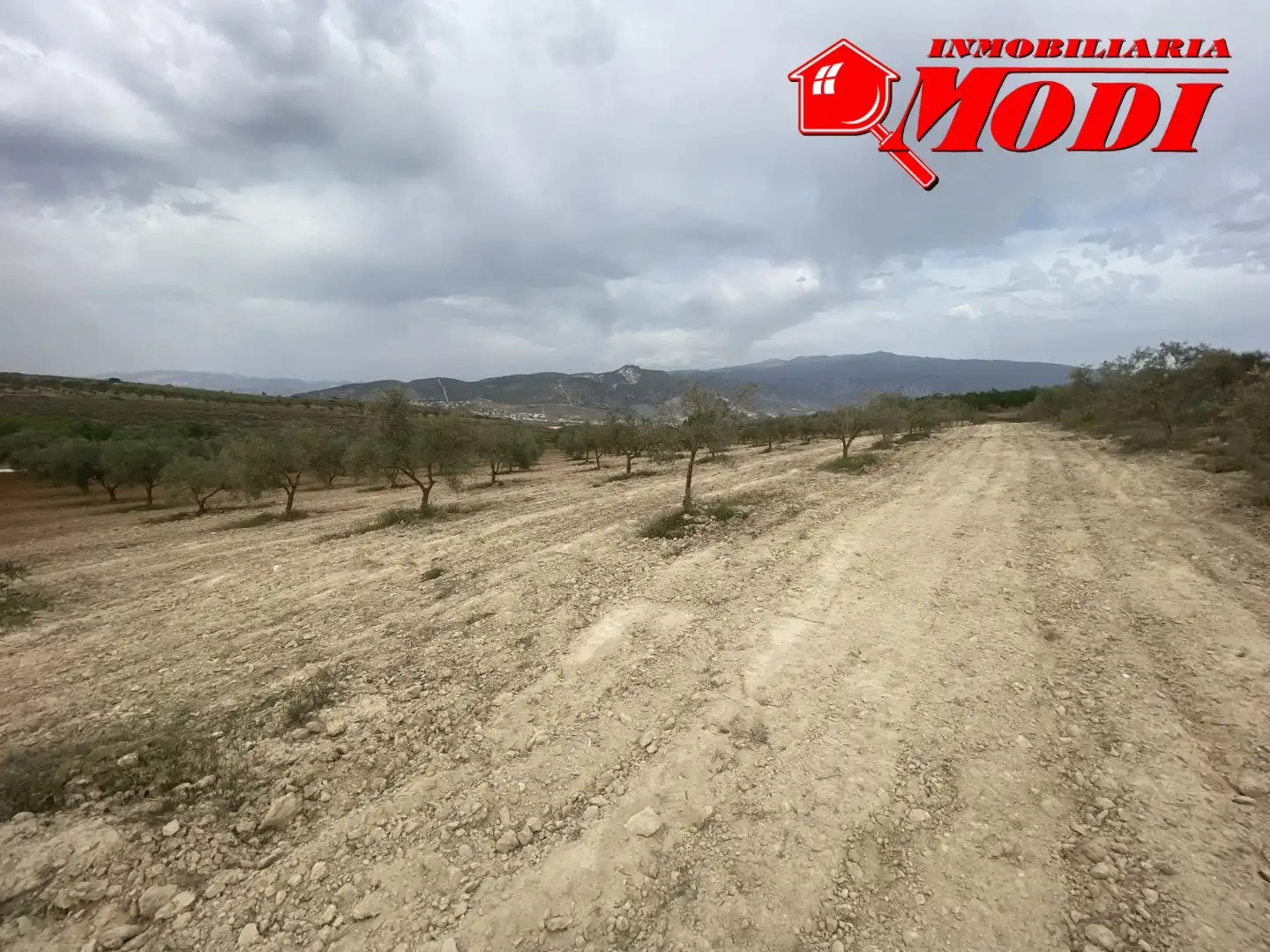 Terrenys i solars en venda a Padul, imagen 17