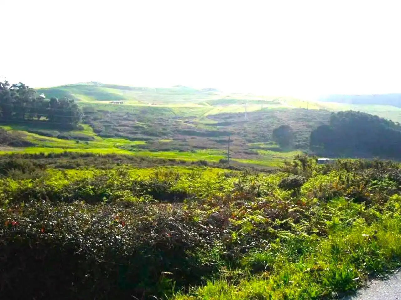 Residencial en venta en PORTIÑO. Polígono, Riazor - Visma