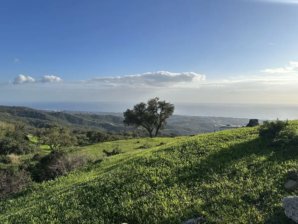 Vista exterior de Residencial en venta en Ojén