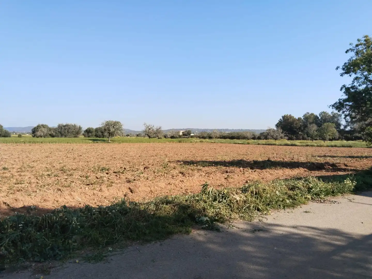 Rustikales Grundstück zum Verkauf in Campos poble, imagen 4