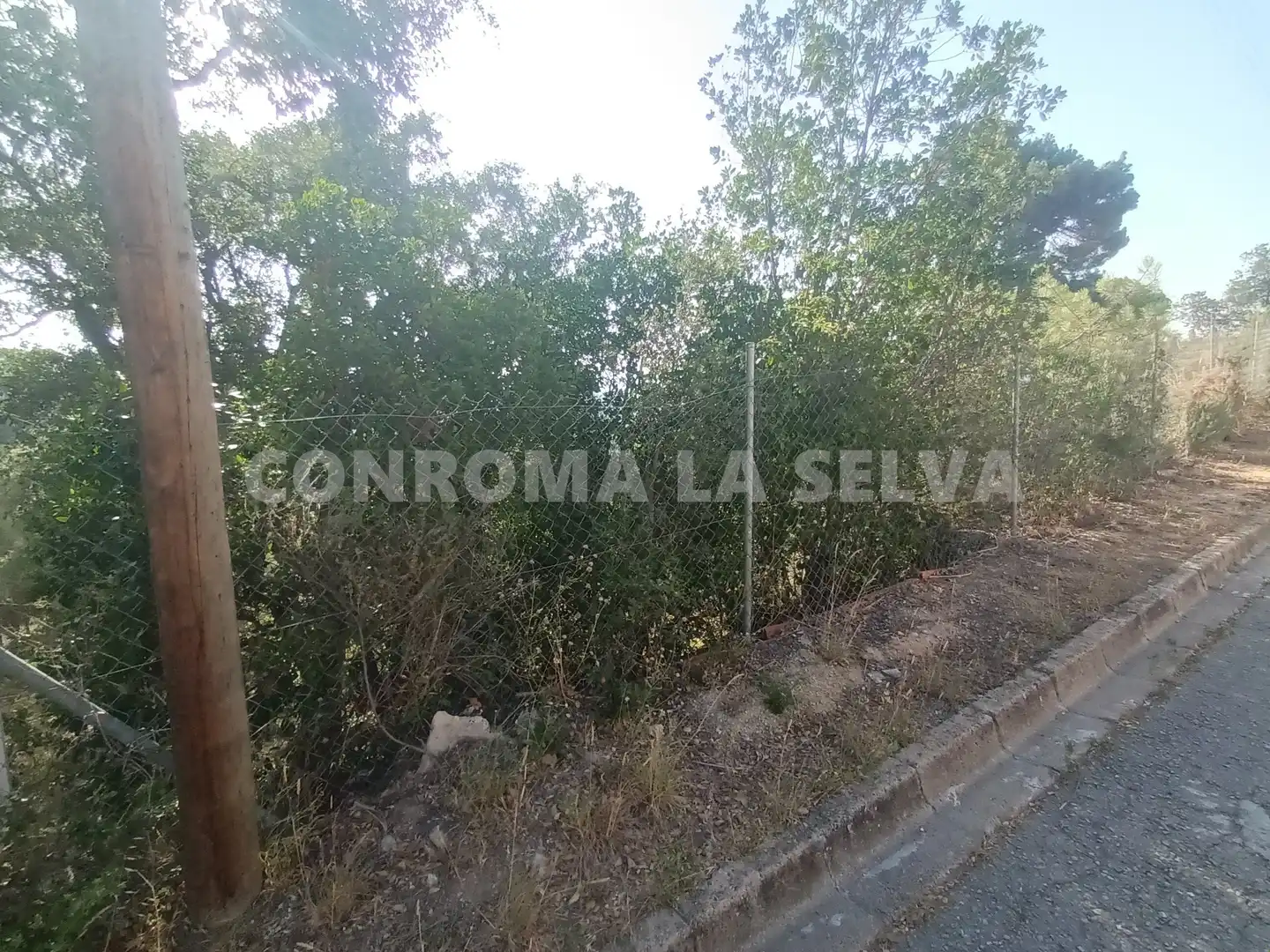 Residential land for sale in Montbarbat, imagen 8
