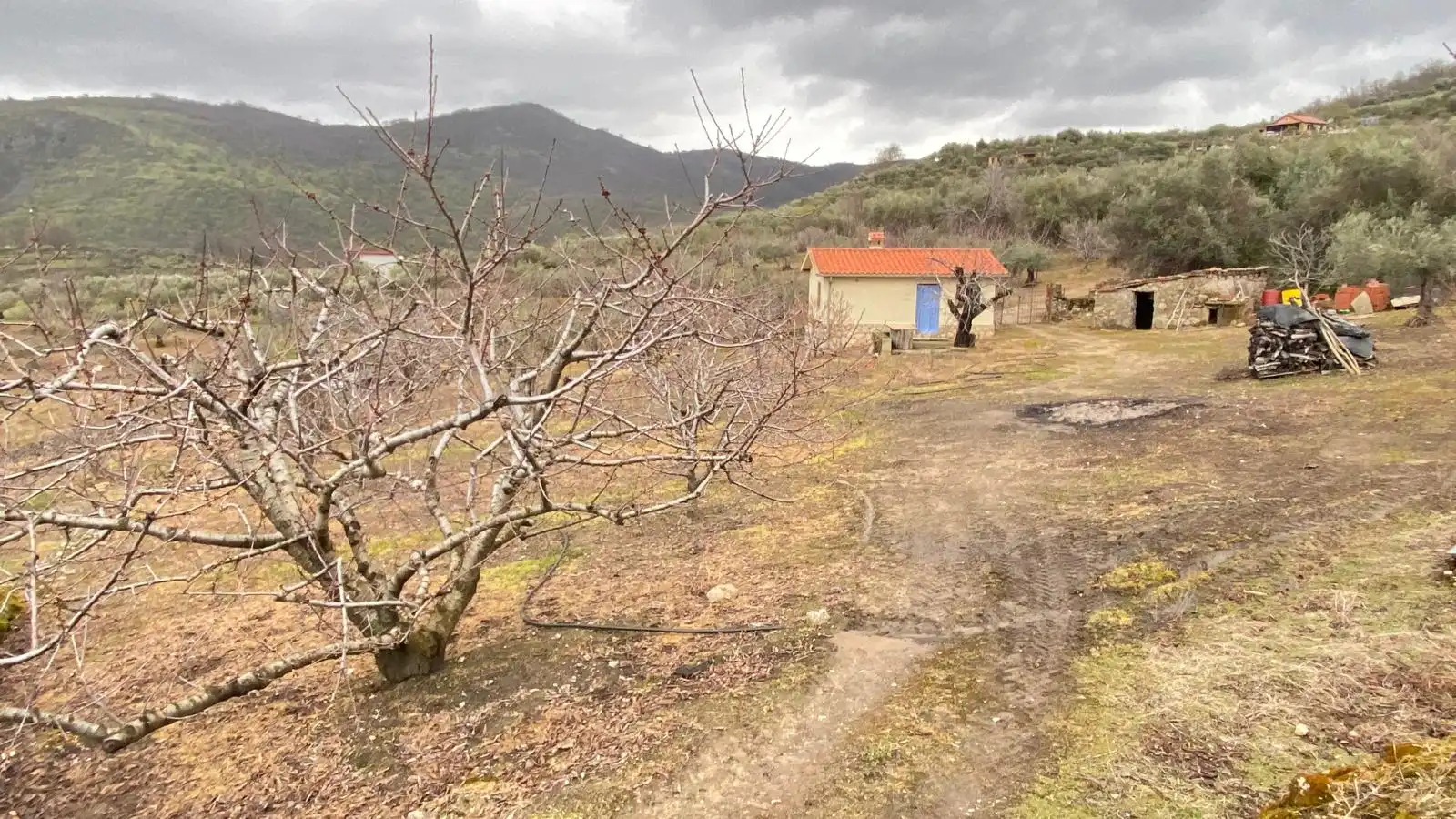Terreni e lotti in vendita a Hervás, imagen 19