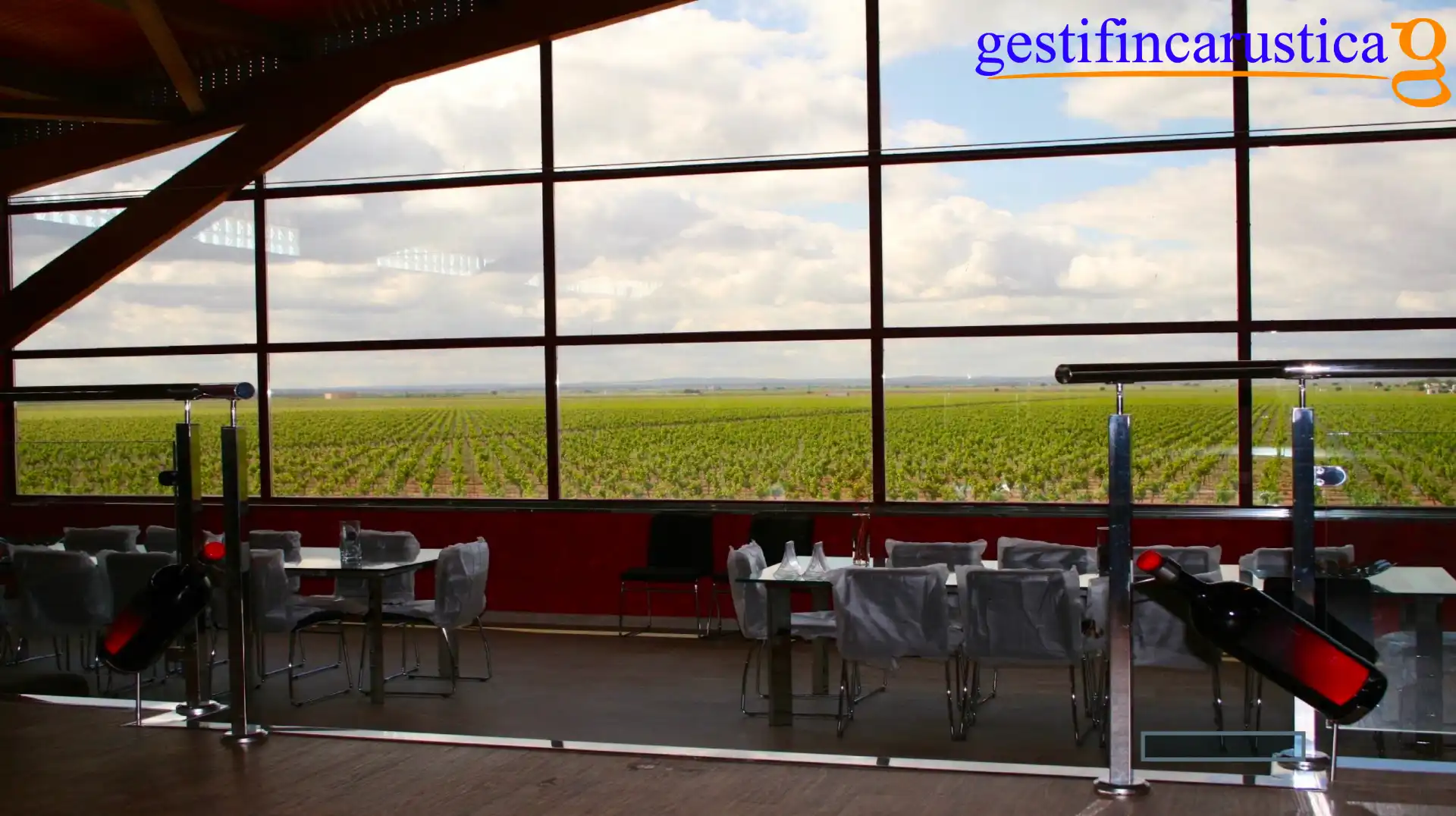 Rural land for sale in Tomelloso, imagen 5