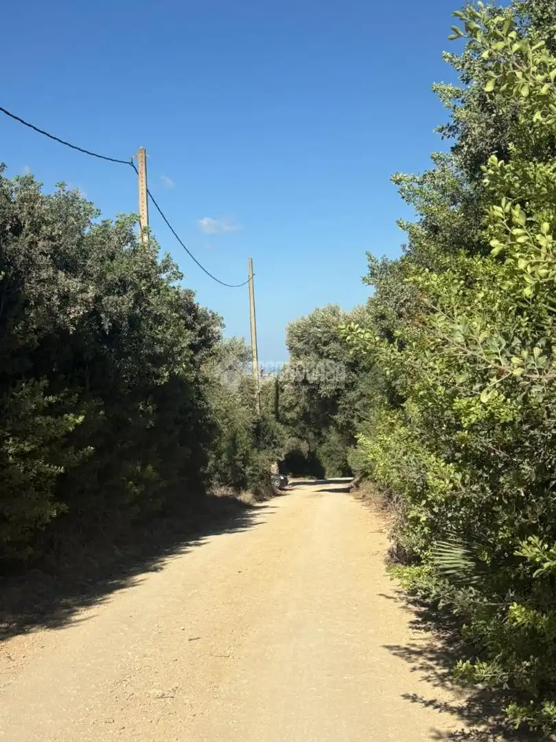 Terreno rustico in vendita a Vejer, imagen 2