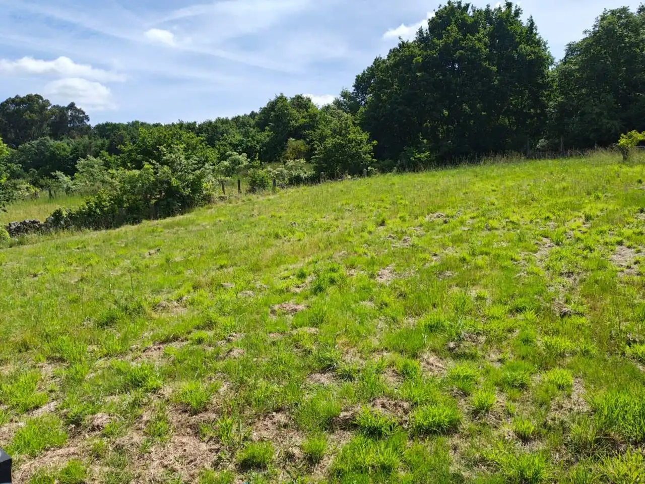 Casa amb jardí en venda a O Pereiro de Aguiar, imagen 28