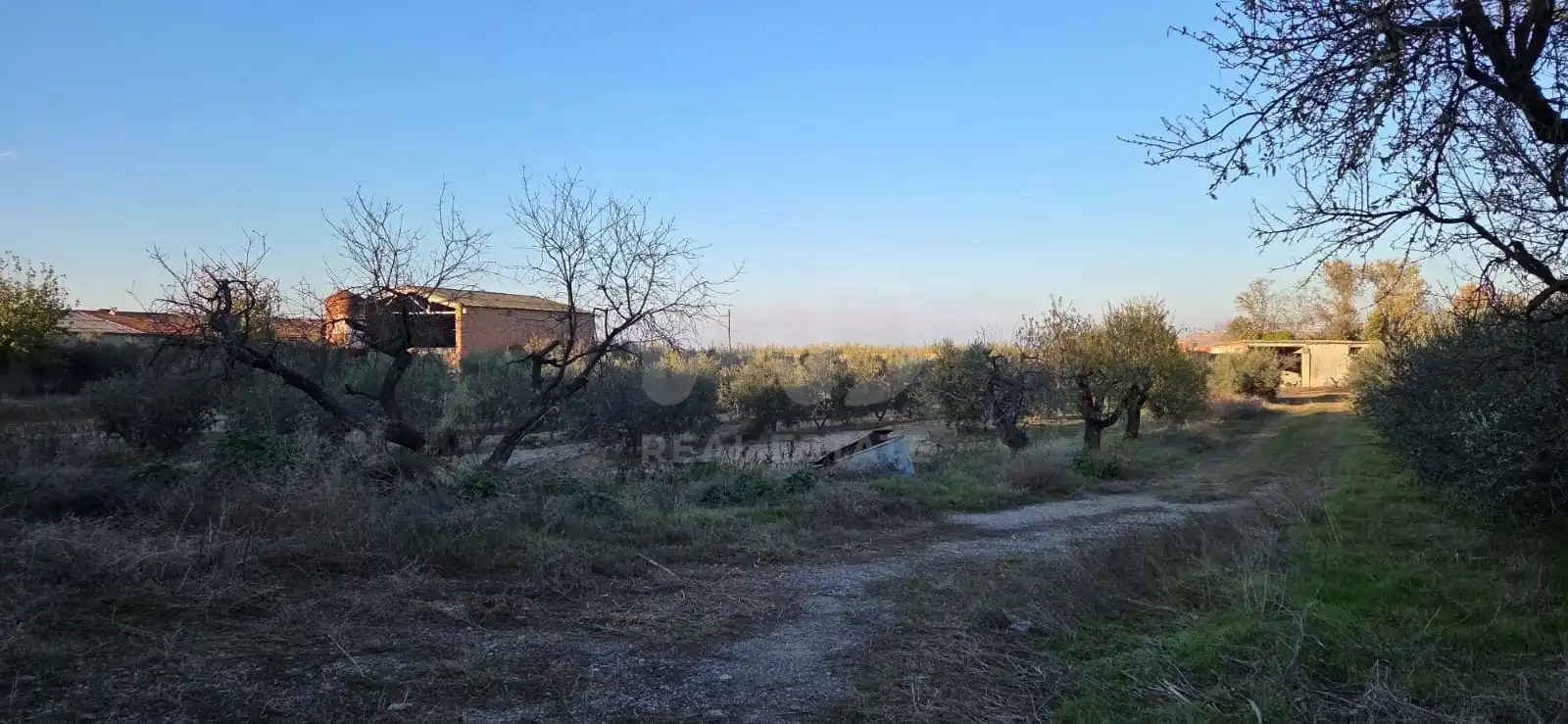 Residencial en venda en Vilagrassa