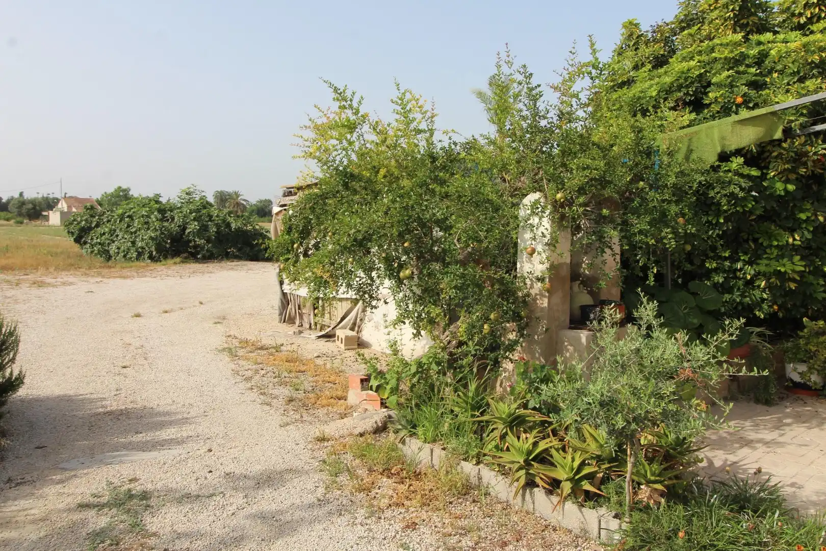 Casa amb jardí en venda a La Algoda - Matola - Llano de San José, imagen 2