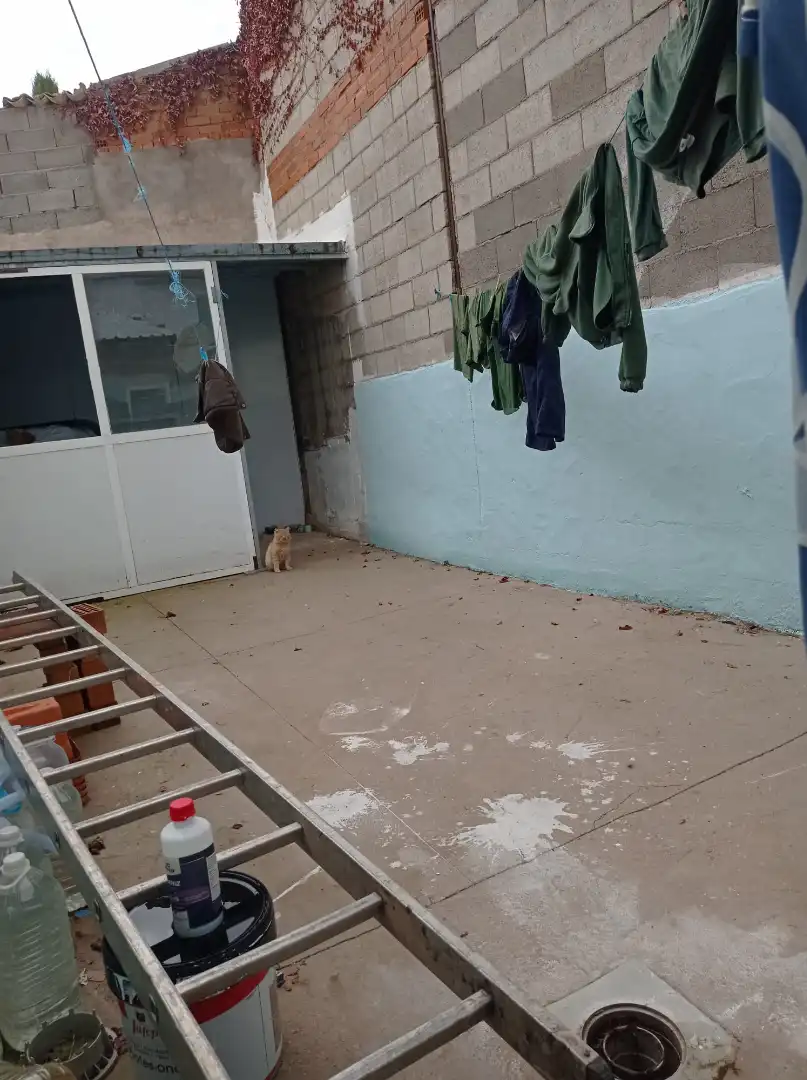 Exterior view of Houses for sale in Puebla de Almenara