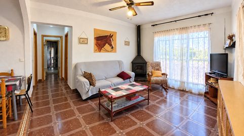 Finca rústica de 4316 m con vivienda, piscina y olivar en Segorbe, imagen 2