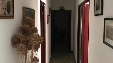 Foto 5 de Finca rústica en venta en Villanueva de Algaidas, Málaga