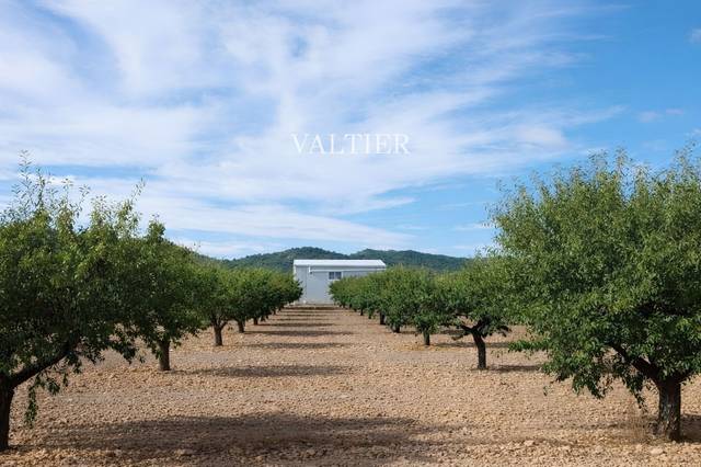 Terreno en Venta en N/A en Henarejos