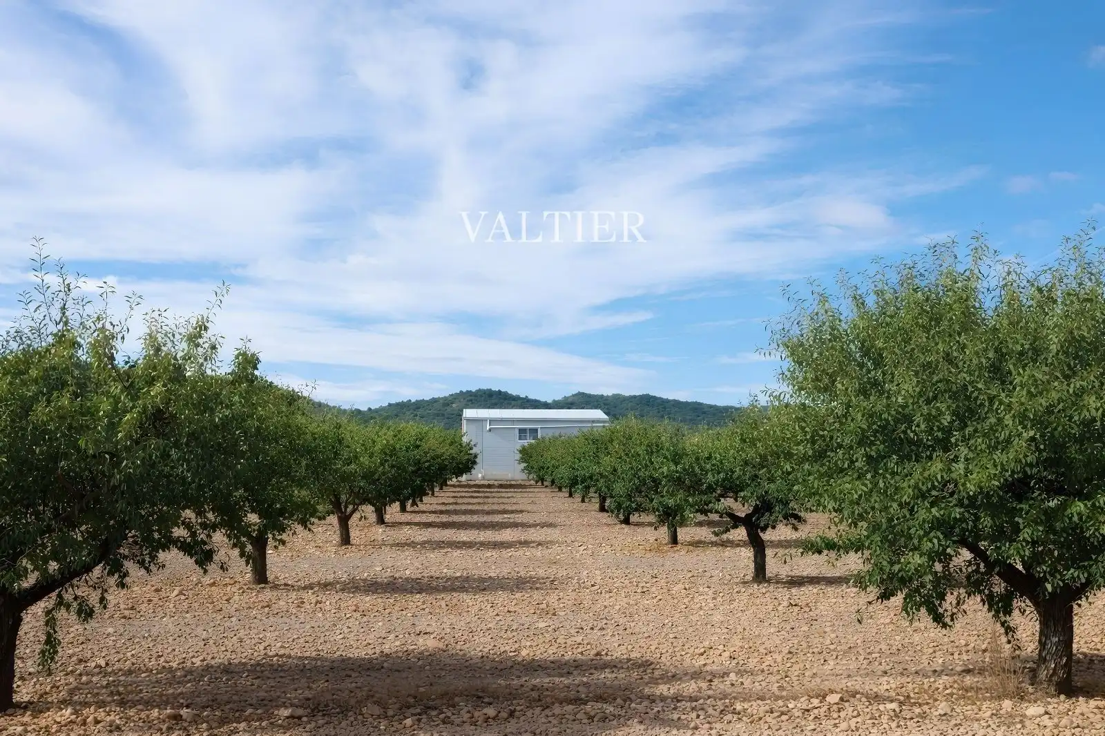 Land for sale in Henarejos
