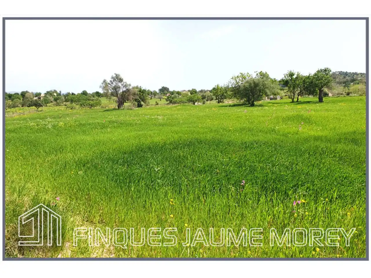 Terrain rustique à vendre à Poligono 12 Sn, imagen 2