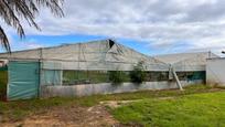 Vista exterior de Casa o xalet en venda en Los Palacios y Villafranca amb Piscina