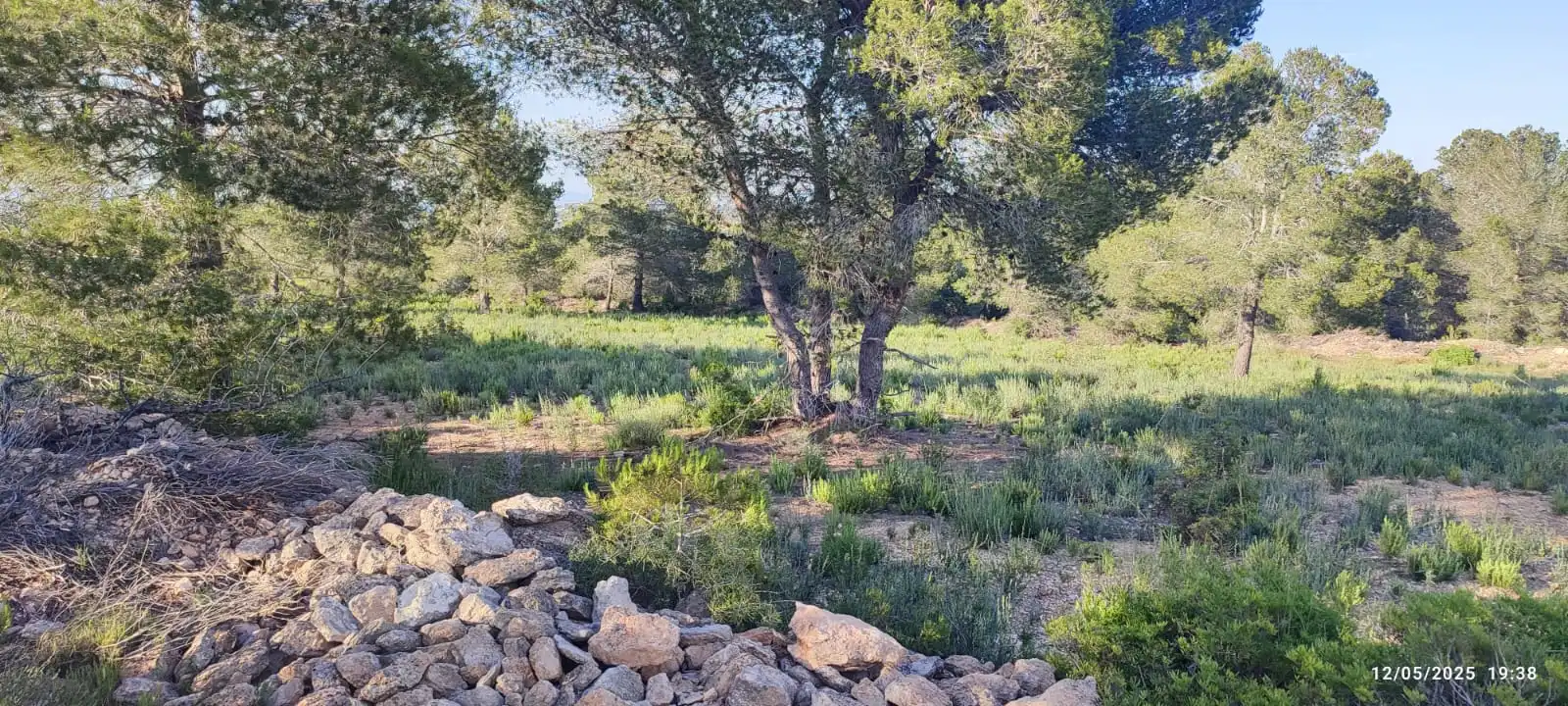 Rural land for sale in Urbanització Blasques 23 10, imagen 9