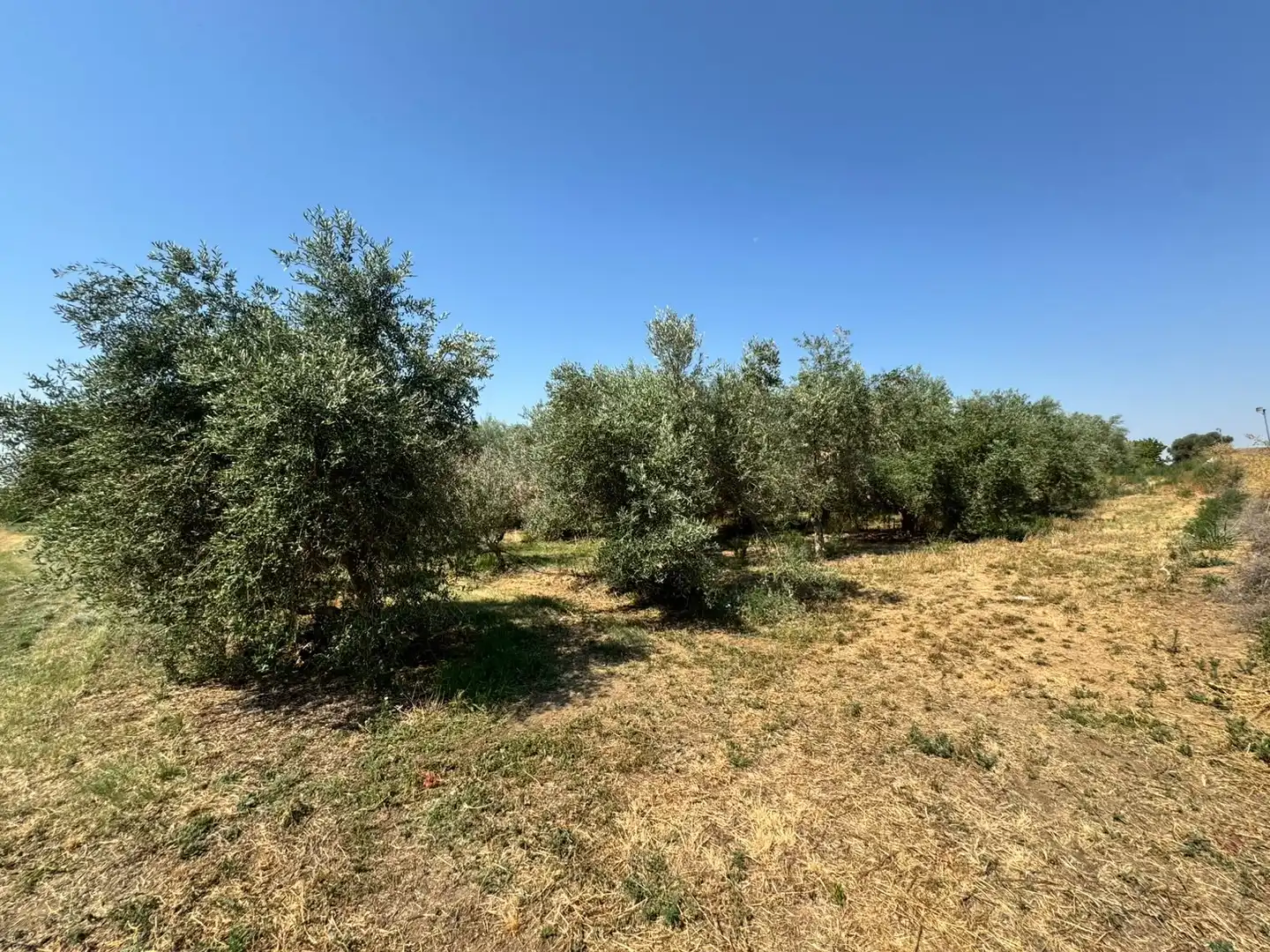 Terreni e lotti in vendita a Tamarite de Litera, imagen 11