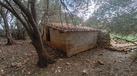 Finca con barraca para animales