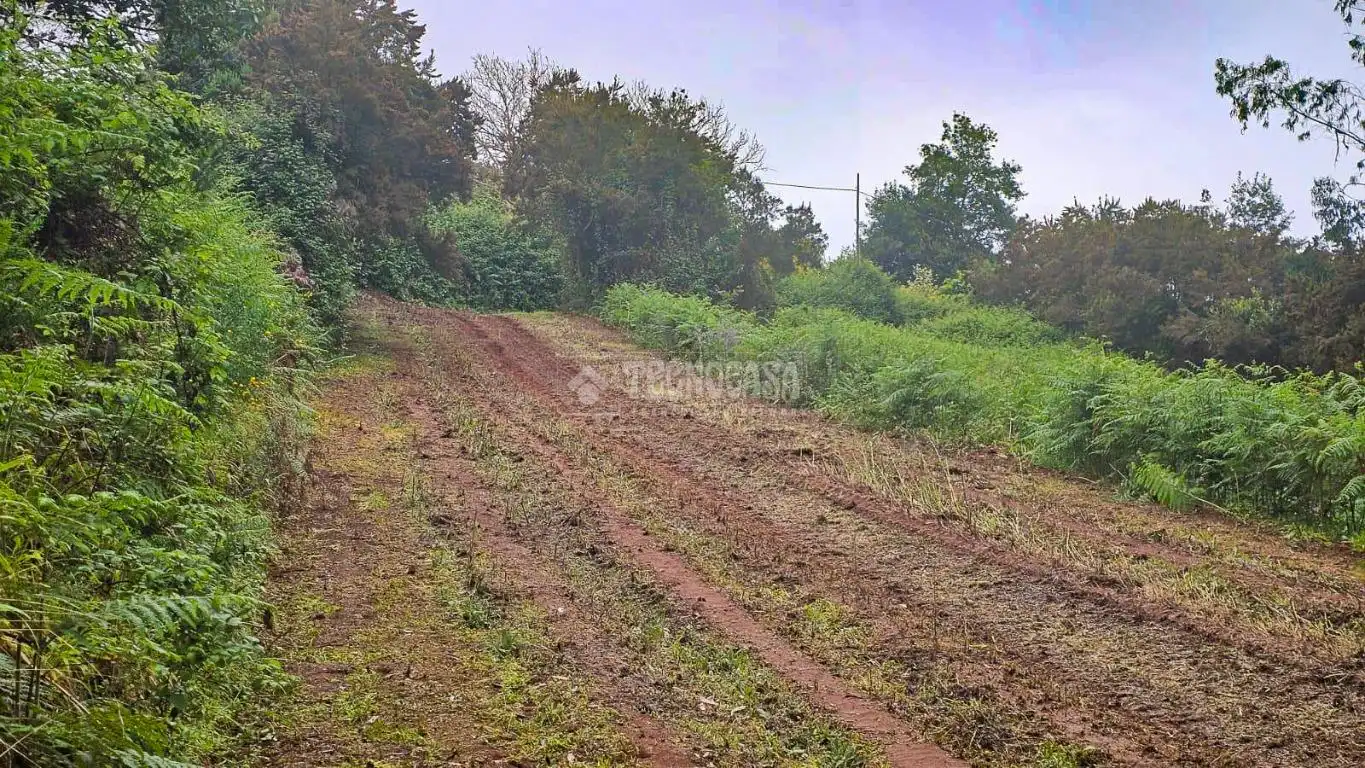 Land for sale in Tacoronte