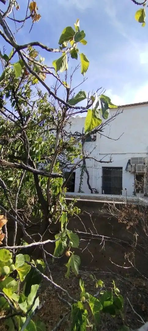 Houses for sale in ALPUJARRA DE LA, 12, Padules