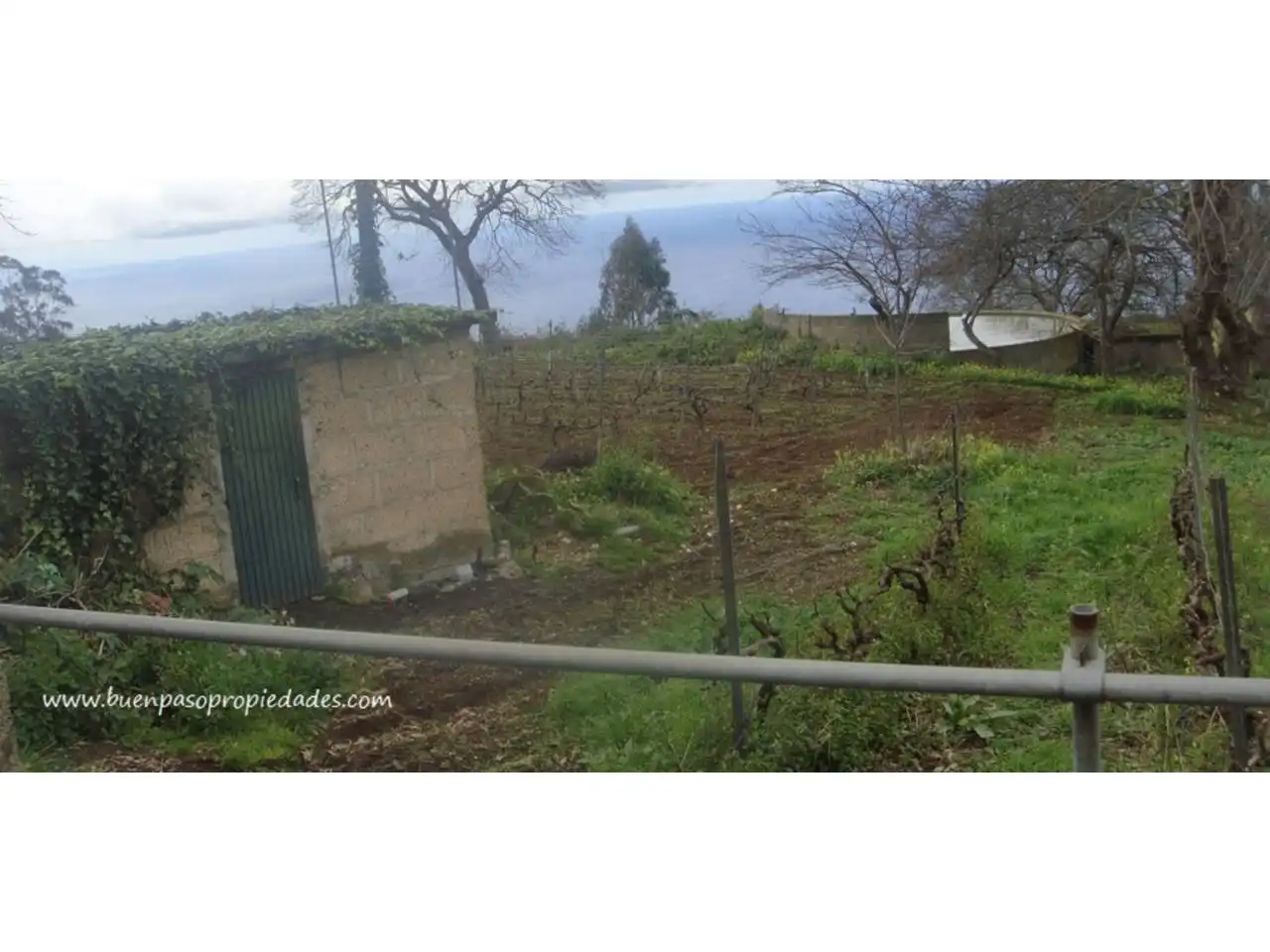 Finca rústica en venta en El Sauzal con Jardín privado