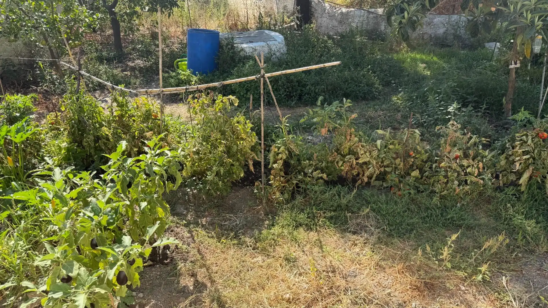 Terreno en venta en Alosno
