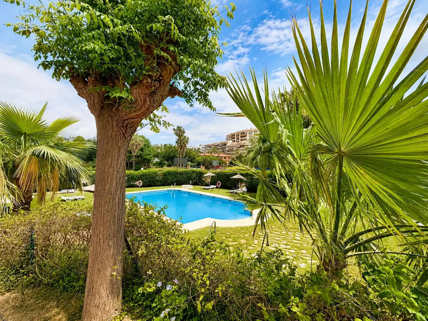 Jardí de Apartament en venda en Benalmádena amb Jardí privat i Piscina comunitària