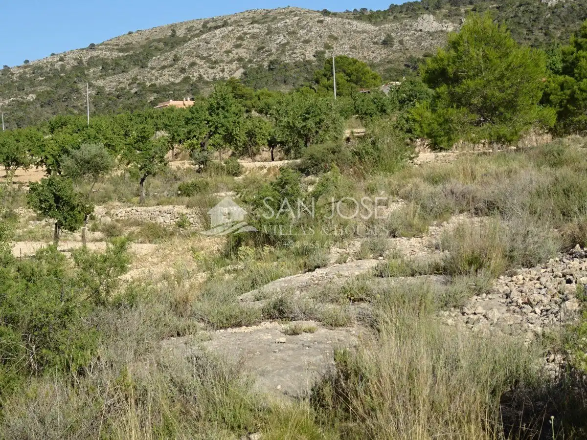 Terreno rústico en venta en Hondón de las Nieves / El Fondó de les Neus, imagen 10