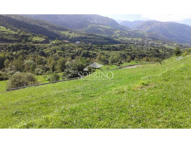 Terreno residencial en Venta en Calle Narganes, 1 en Peñamellera Baja
