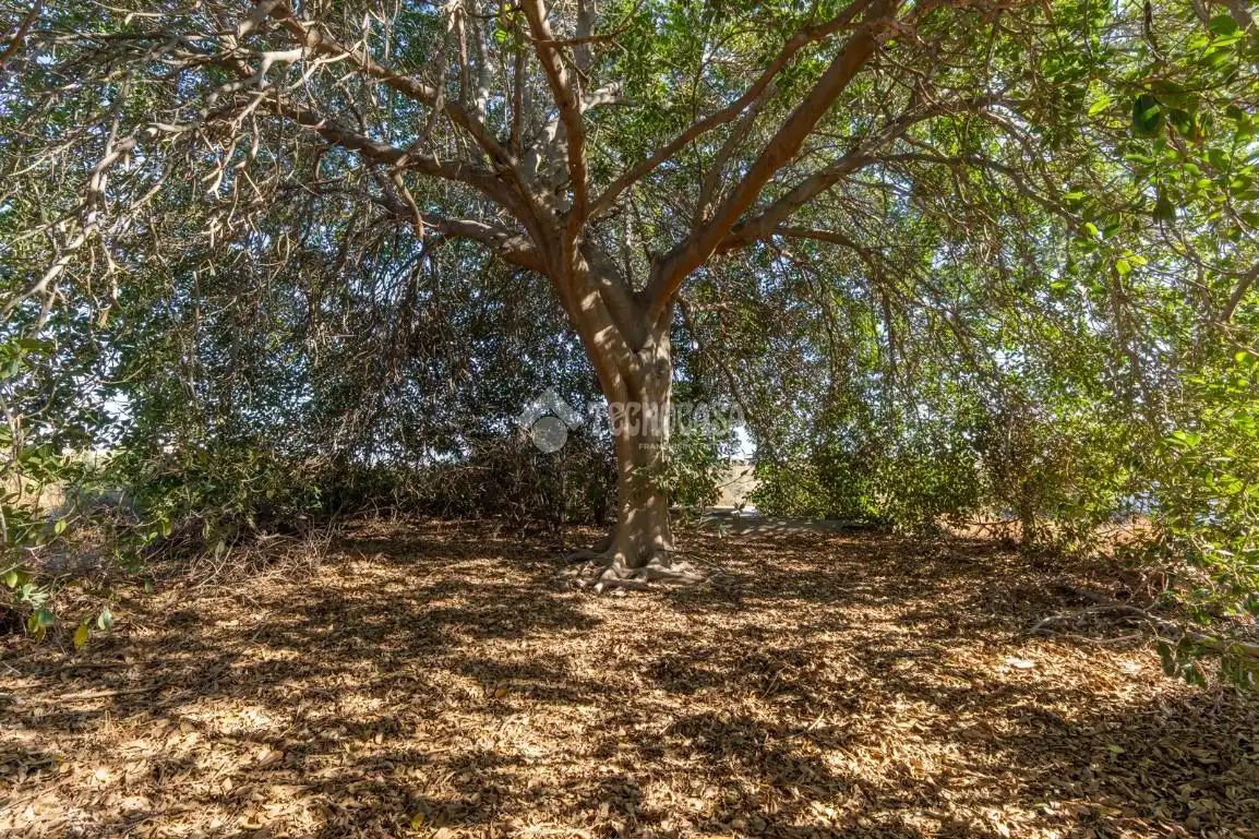 Casa amb jardí en venda a C. García Álvarez, imagen 23