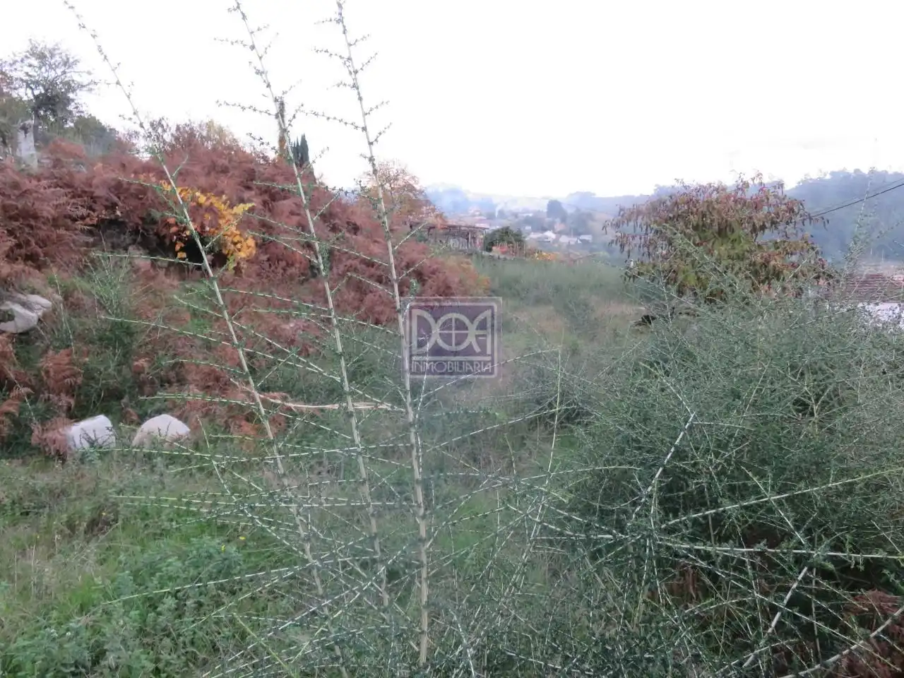 Lands and plots for sale in Mondariz, imagen 2