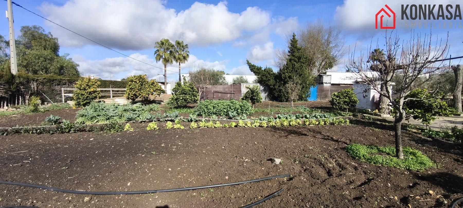 Garden of Country house for sale in Villamartín  with Storage room and Swimming Pool