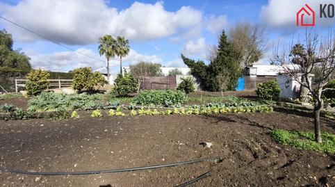 Foto 2 de Finca rústica en venta en Villamartín, Cádiz