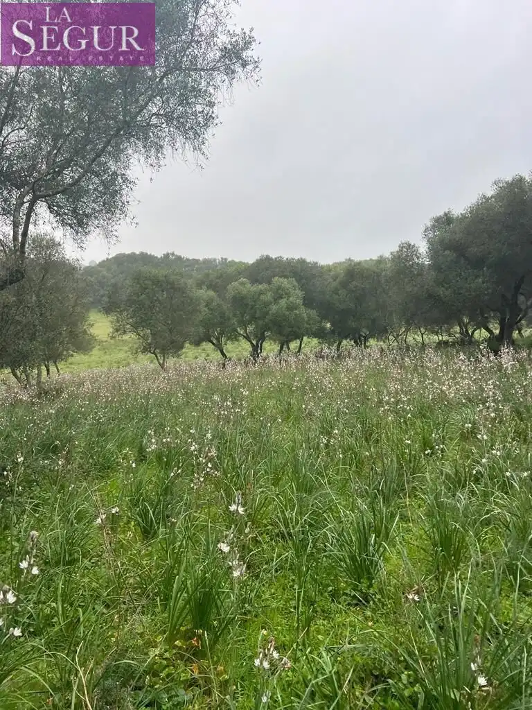 Residential for sale in Barbate