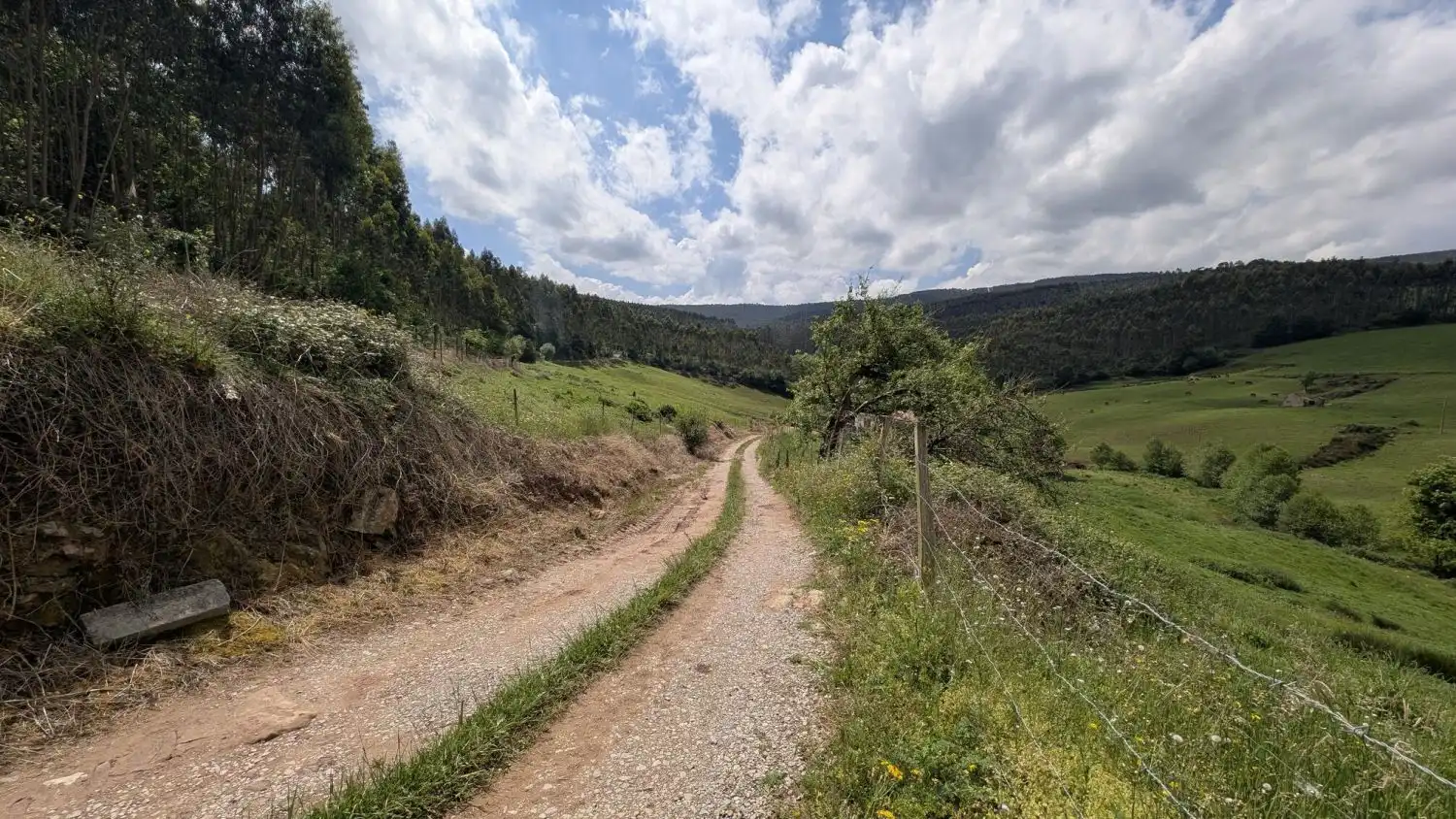 Country homes for sale in Piélagos