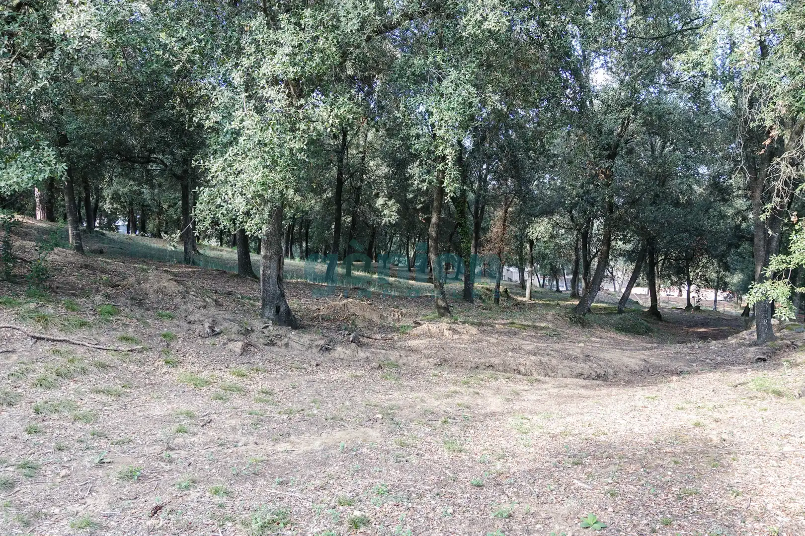 Terreno residenziale in vendita a Diseminado Afueras, imagen 10