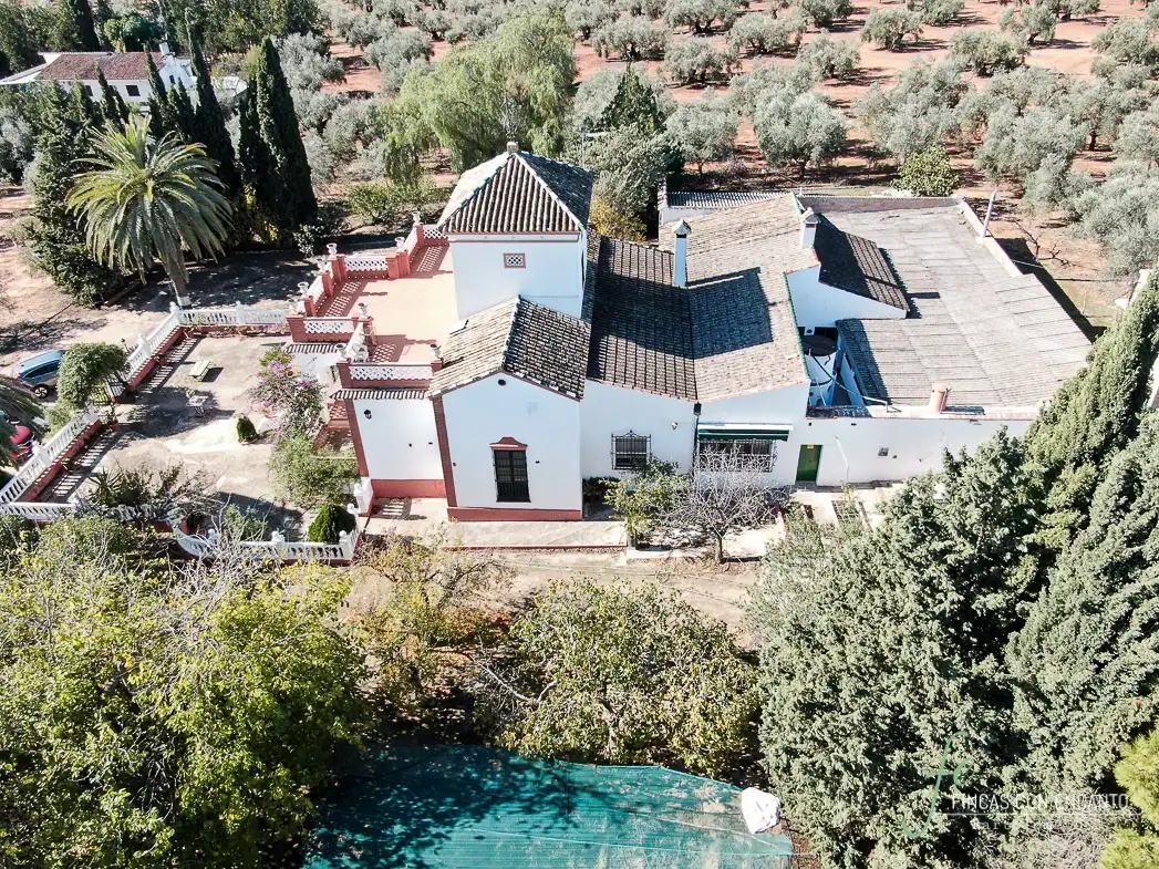 Exterior view of Country homes for sale in Puente Genil  with Terrace and Swimming Pool