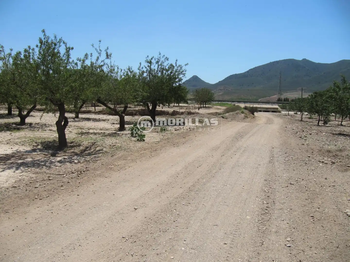 Terreny rústic en venda a Puerto Lumbreras, imagen 9