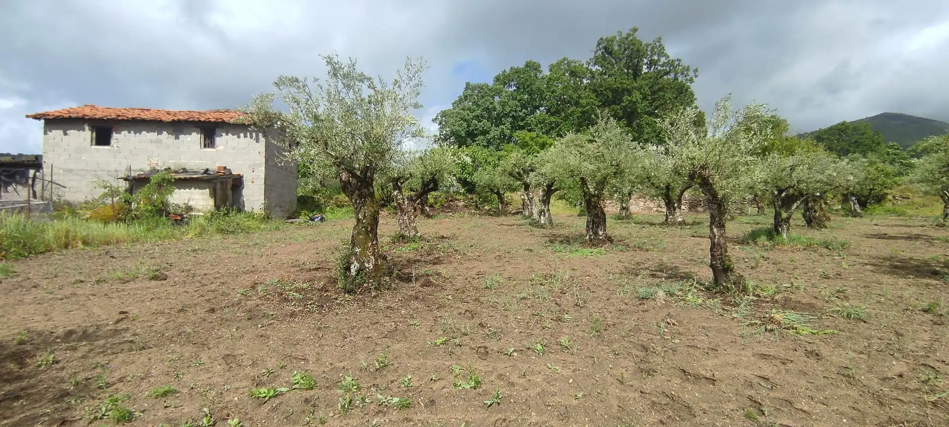 Terreni e lotti in vendita a Jarandilla de la Vera