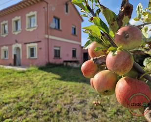 Jardí de Casa o xalet en venda en Nava amb Terrassa