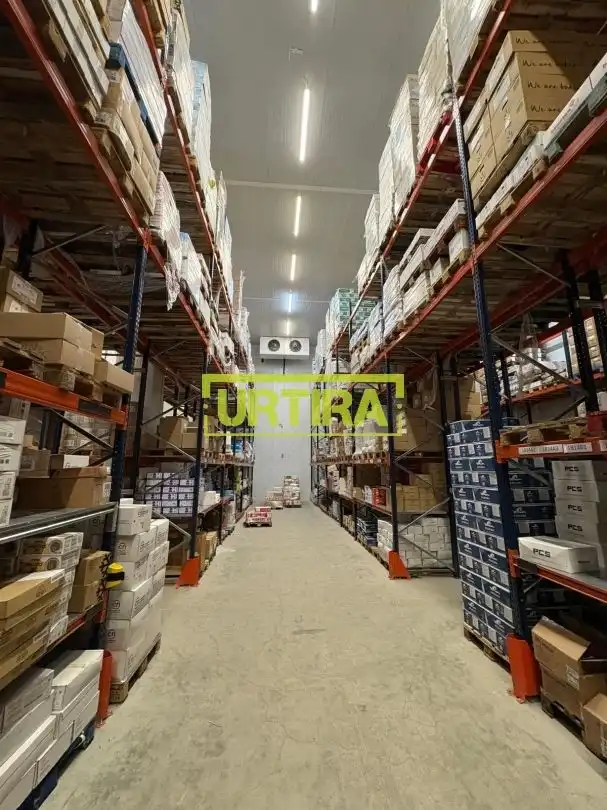 Nau industrial de lloguer a Arañaburu Kalea 6, imagen 11