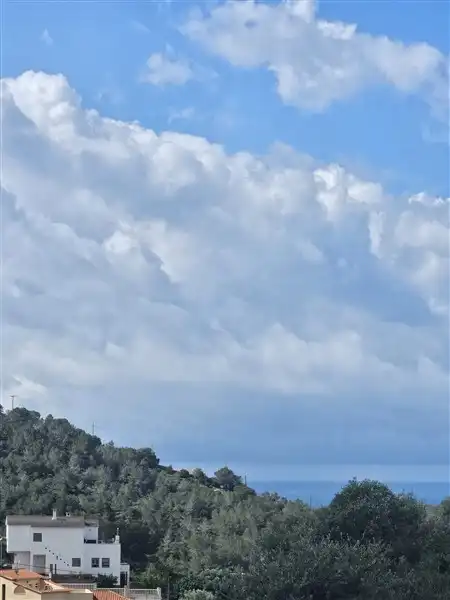 Terreno residenziale in vendita a Avinguda dels Garrofers 79