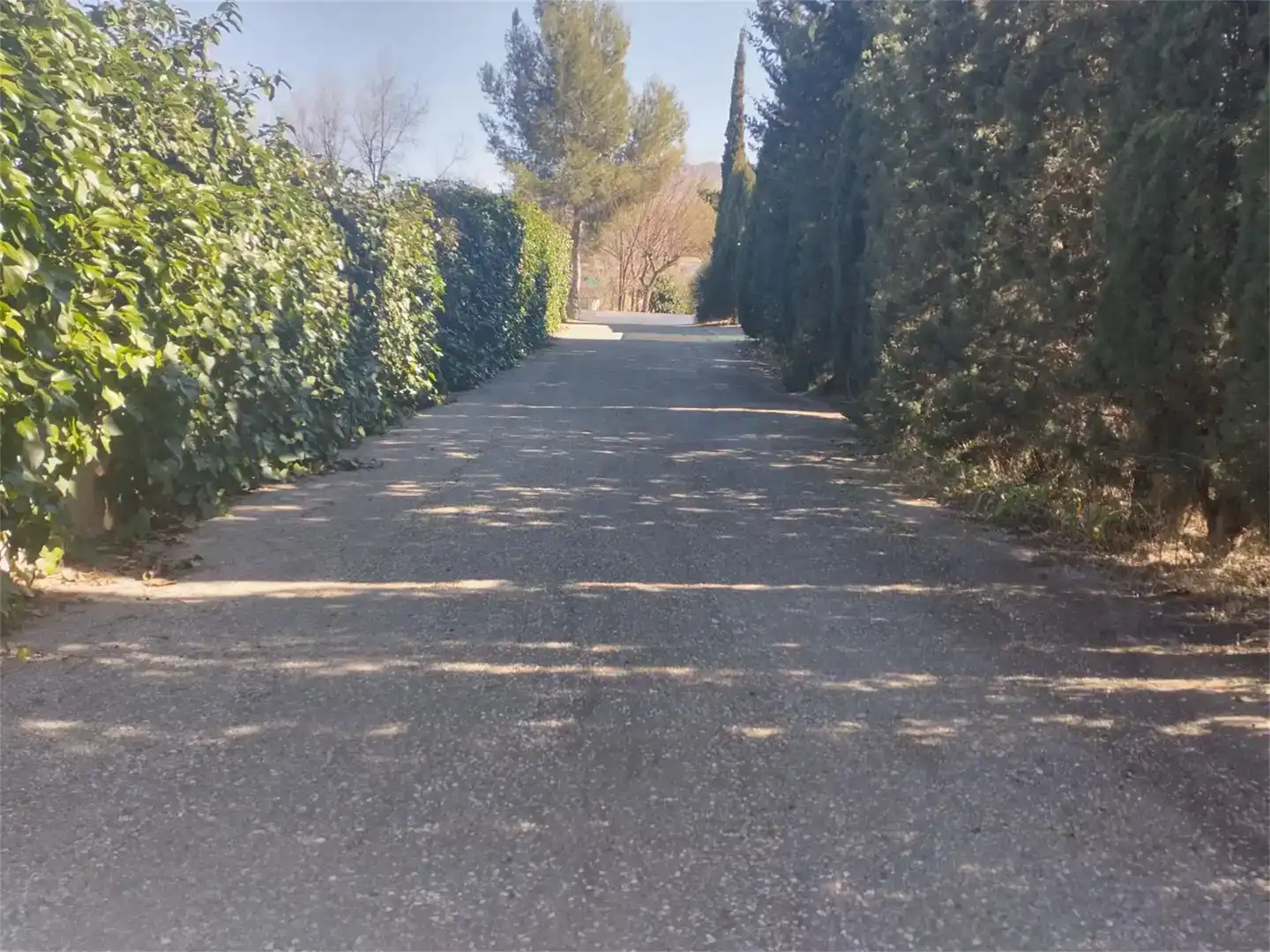 Vista exterior de Finca rústica en venda en Sax amb Aire condicionat i Piscina