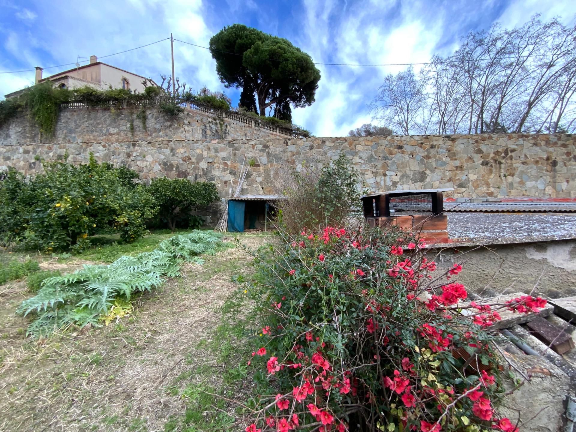 Vista exterior de Residencial en venta en Alella