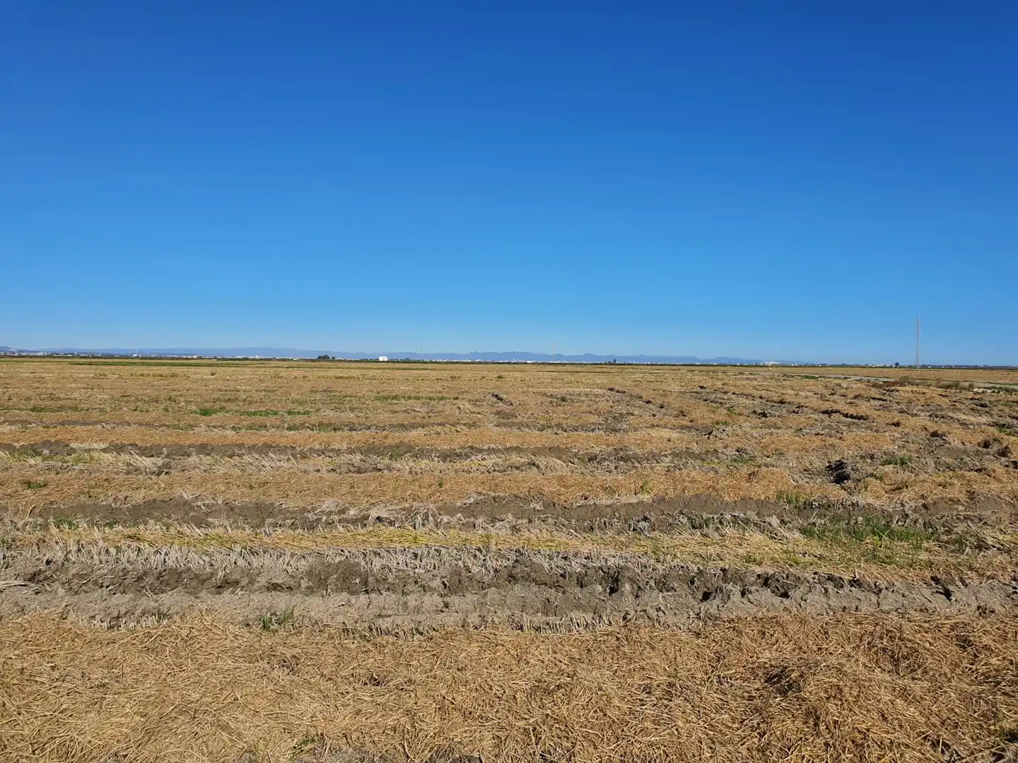 Rural land for sale in Carrer Rei en Jaume, imagen 2