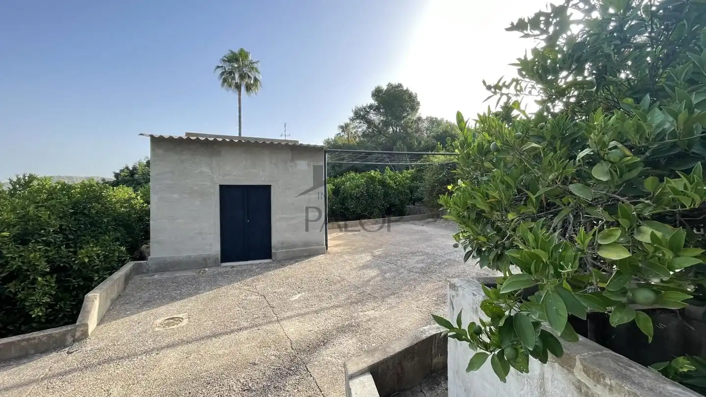 Vista exterior de Finca rústica en venta en Carcaixent con Jardín privado, Terraza y Trastero