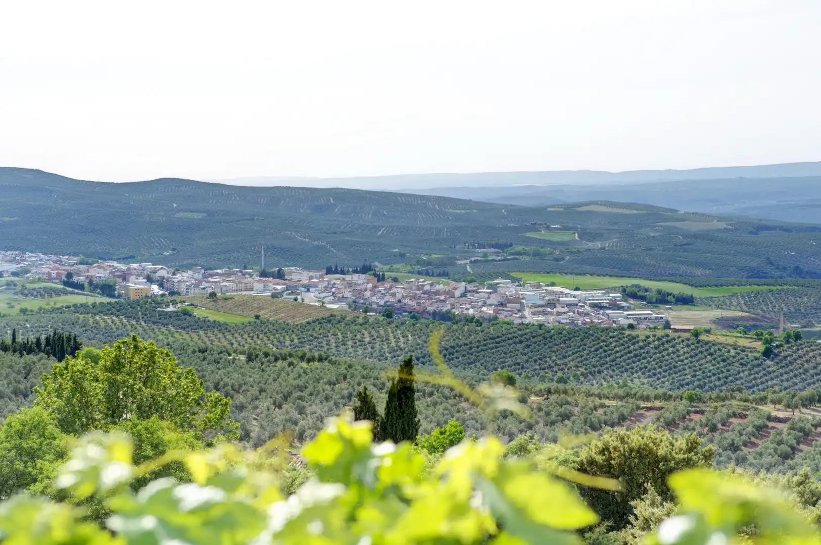 Vista exterior de Casa o xalet en venda en Jaén amb Jardí privat, Terrassa i Piscina