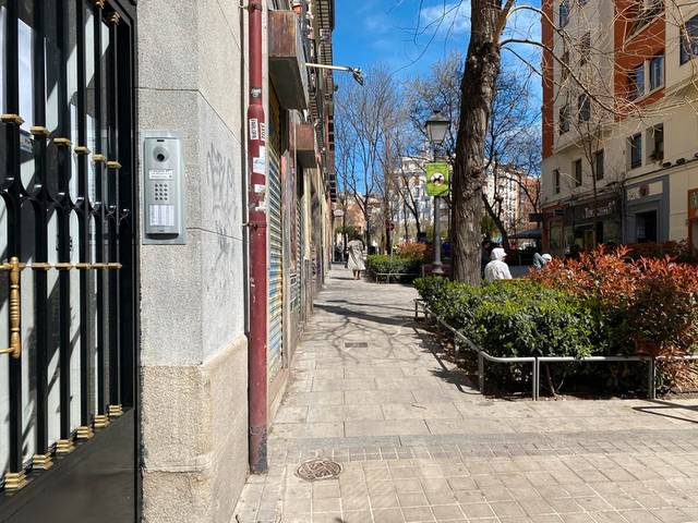 Piso en Alquiler en PALAFOX en Trafalgar