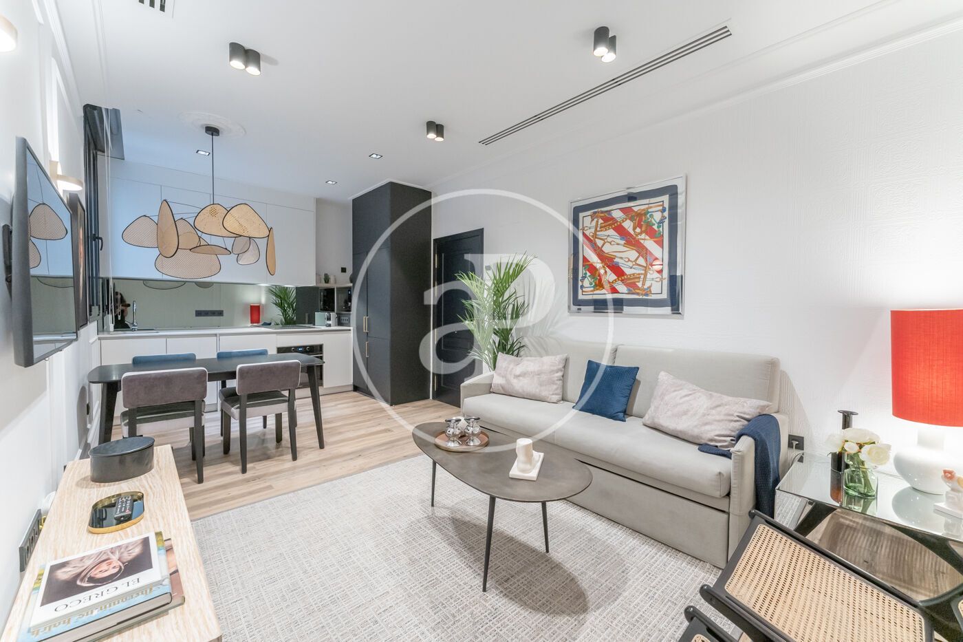 Living room of Flat to rent in  Madrid Capital  with Air Conditioner, Heating and Furnished