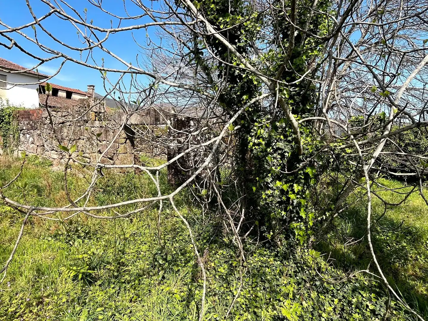 Rural land for sale in Arbo, imagen 7