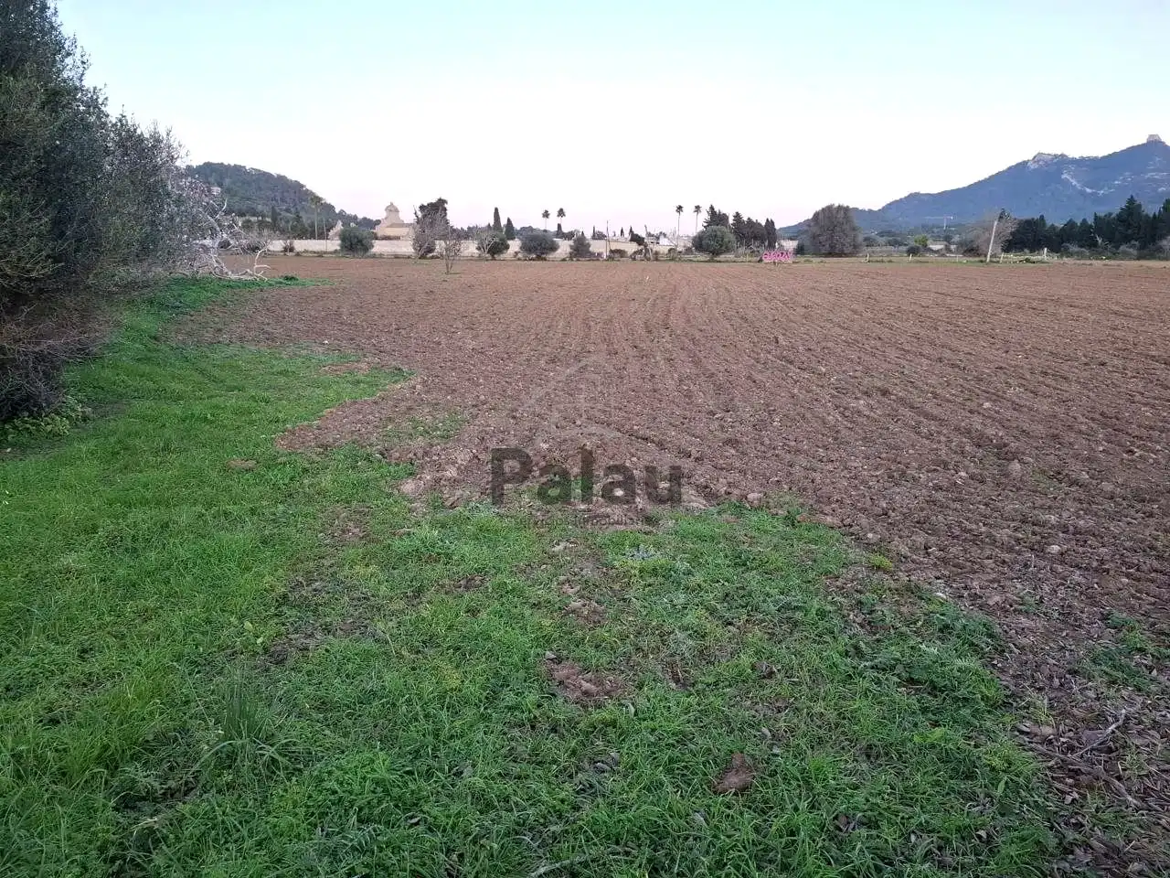 Rustikales Grundstück zum Verkauf in Felanitx Poble, imagen 8